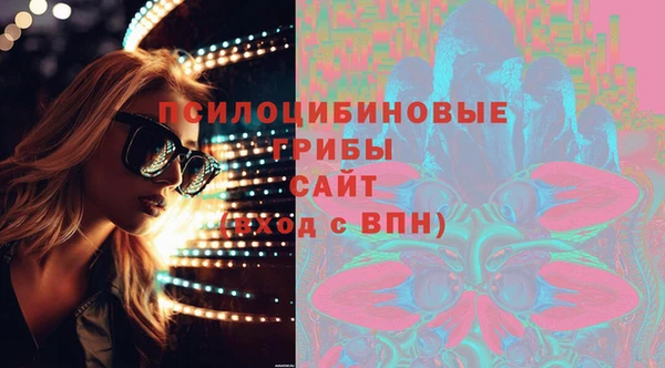 a pvp Коряжма