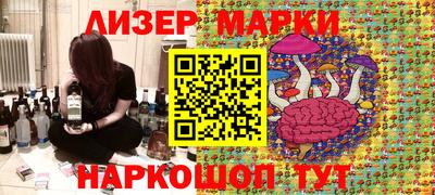 стаф Гай