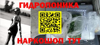 шишки Гагарин