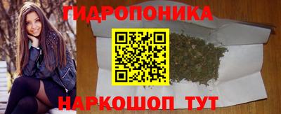шишки Гагарин