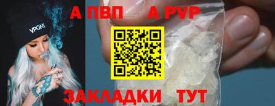стаф Гай