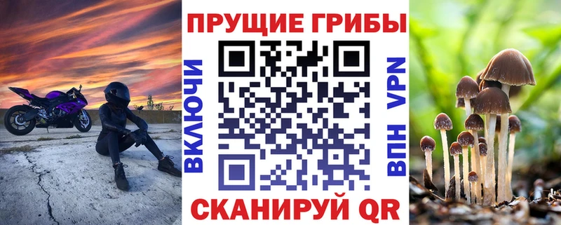 Галлюциногенные грибы MAGIC MUSHROOMS  Калуга 