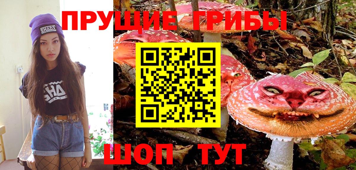 Галлюциногенные грибы MAGIC MUSHROOMS Калуга