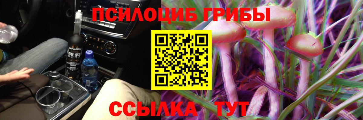 Калуга  где купить наркоту  Вход с VPN  Псилоцибиновые грибы Cubensis 
